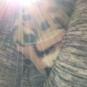 Meet your Posher, Colleen